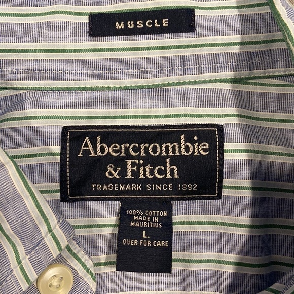Abercrombie & Fitch Blue and Green Pinstripes Muscle Fit Long Sleeve Button-Down - Picture 4 of 4